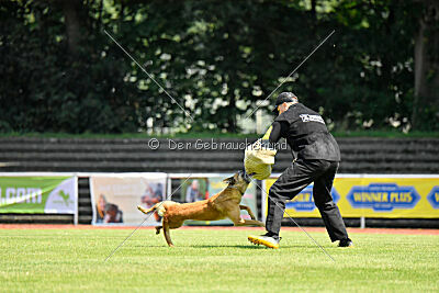  ne pas toucher Amy Winehouse