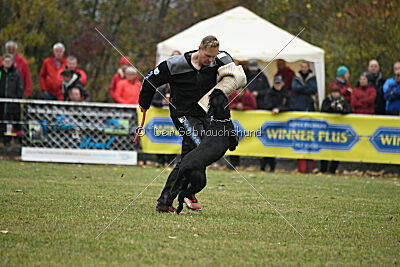 A-Frida con todos los santos