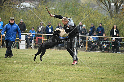 A-Frida con todos los santos