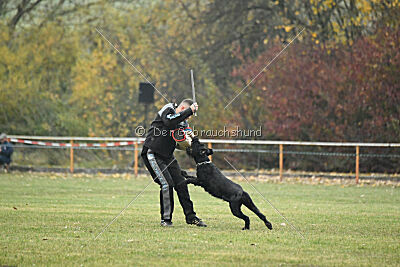 A-Frida con todos los santos