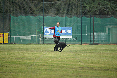 A-Frida con todos los santos