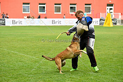 A'Tom Canis Aemona