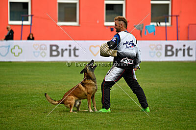 A'Tom Canis Aemona