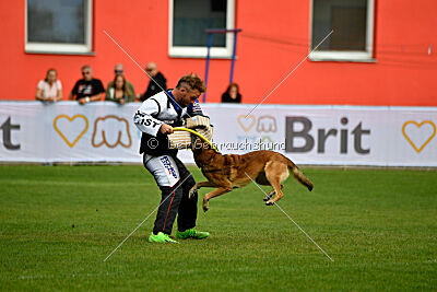 A'Tom Canis Aemona