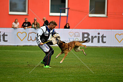 A'Tom Canis Aemona