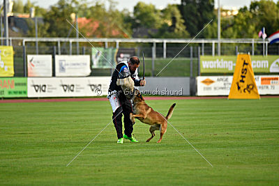 A'Tom Canis Aemona