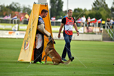 A'Tom Canis Aemona
