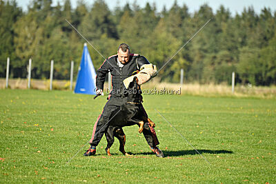 Aaron von der Sternhöhe