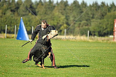 Aaron von der Sternhöhe