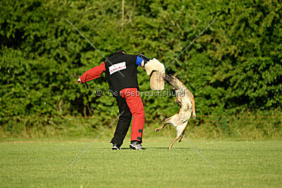 Abby Lee vom Heidländer Wappen
