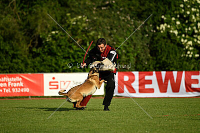 Abby Lee vom Heidländer Wappen