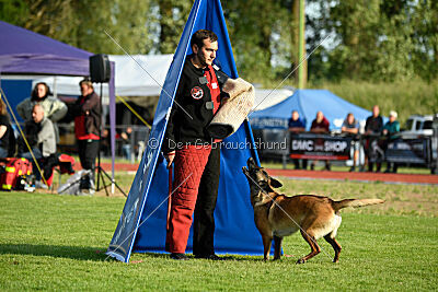 Abby Lee vom Heidländer Wappen