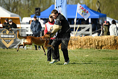 Abby vom Lamm-Schwert