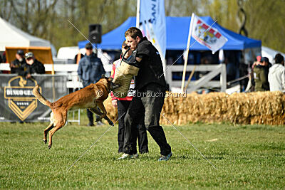 Abby vom Lamm-Schwert