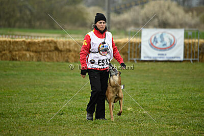 Abby vom Lamm-Schwert