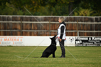 Abby vom Schattenbachtal