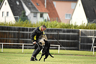 Abby vom Schattenbachtal