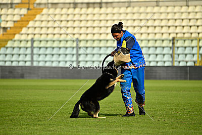 Abilio von Krausplatz