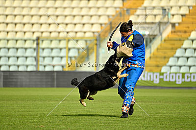 Abilio von Krausplatz