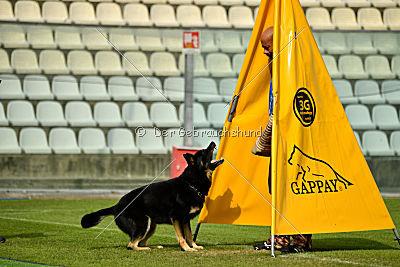 Abilio von Krausplatz