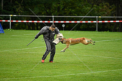 Ace von den zauberhaften Teufeln