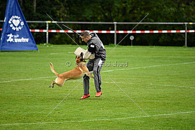 Ace von den zauberhaften Teufeln