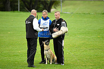 Ace von den zauberhaften Teufeln