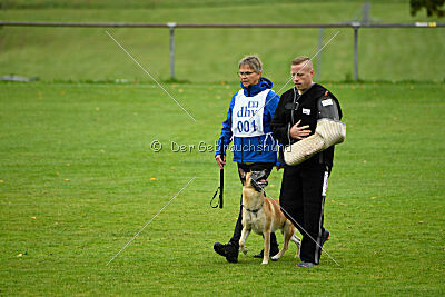 Ace von den zauberhaften Teufeln