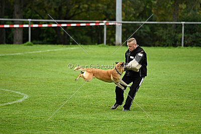 Ace von den zauberhaften Teufeln