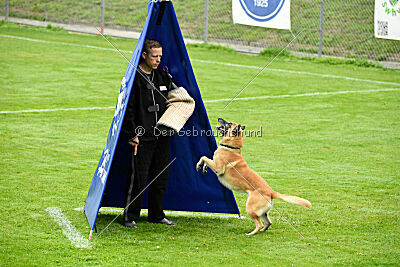 Ace von den zauberhaften Teufeln