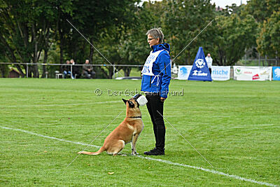 Ace von den zauberhaften Teufeln