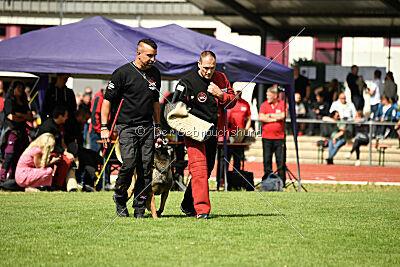 Activ Jerte Maicono livre