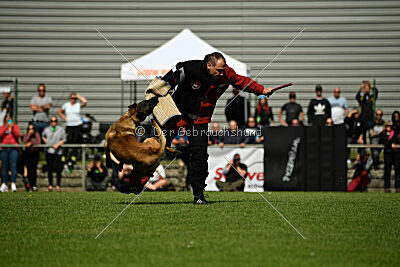 Activ Jerte Maicono livre