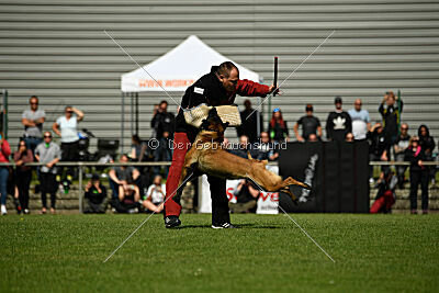 Activ Jerte Maicono livre