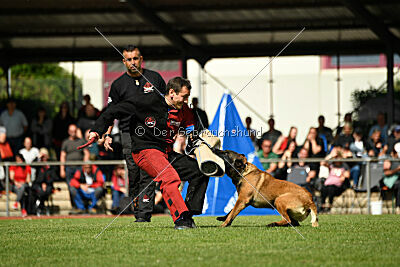 Activ Jerte Maicono livre