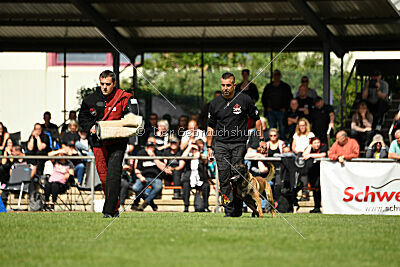 Activ Jerte Maicono livre