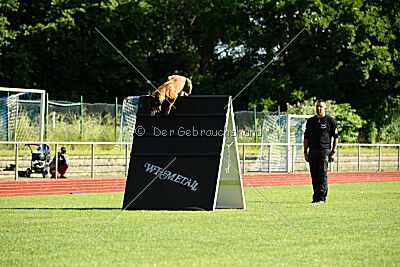 Activ Jerte Maicono livre