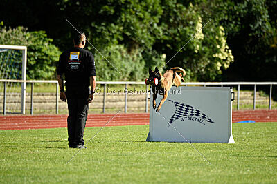 Activ Jerte Maicono livre