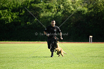 Activ Jerte Maicono livre