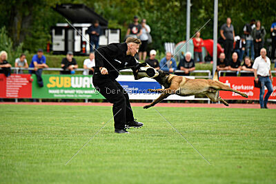 Activ Jerte Maicono livre