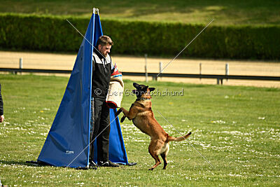 Activ Jerte Maicono livre