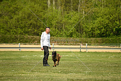 Activ Jerte Maicono livre