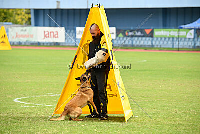 Ada Hegerberg Boca Bohemia