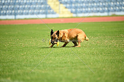 Ada Hegerberg Boca Bohemia
