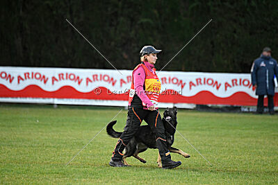 Adele Canis Invictus