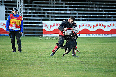 Adele Canis Invictus