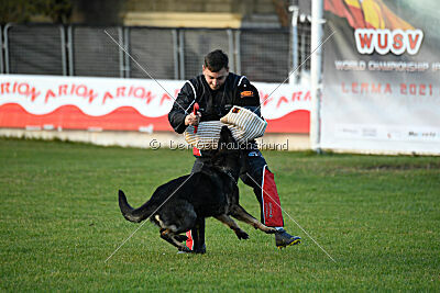 Adele Canis Invictus