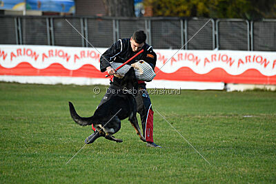 Adele Canis Invictus