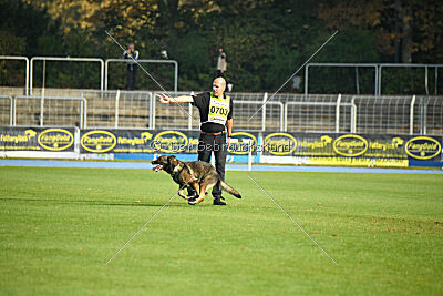 Adenauer von der Schöpsdrehe