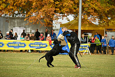 Adlheid vom Gleinalmblick